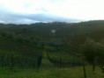 /album/galeria-de-fotos/quinta-jpg/